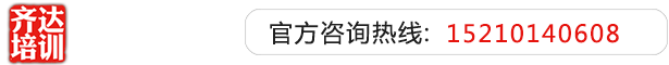 狂操小骚逼视频网站齐达艺考文化课-艺术生文化课,艺术类文化课,艺考生文化课logo